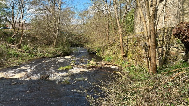 Water of Leith from Malleny Garden