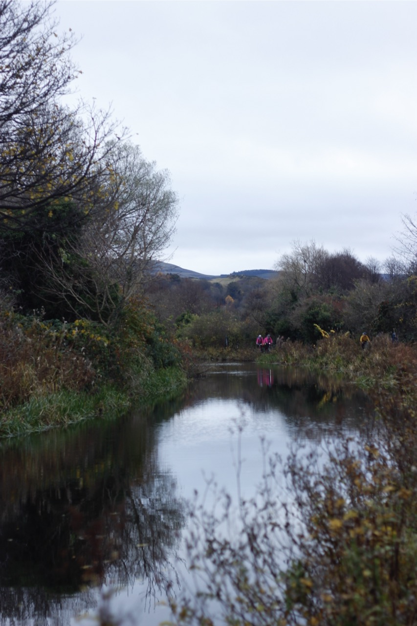 A colour photograph showing the Union canal in Autumn