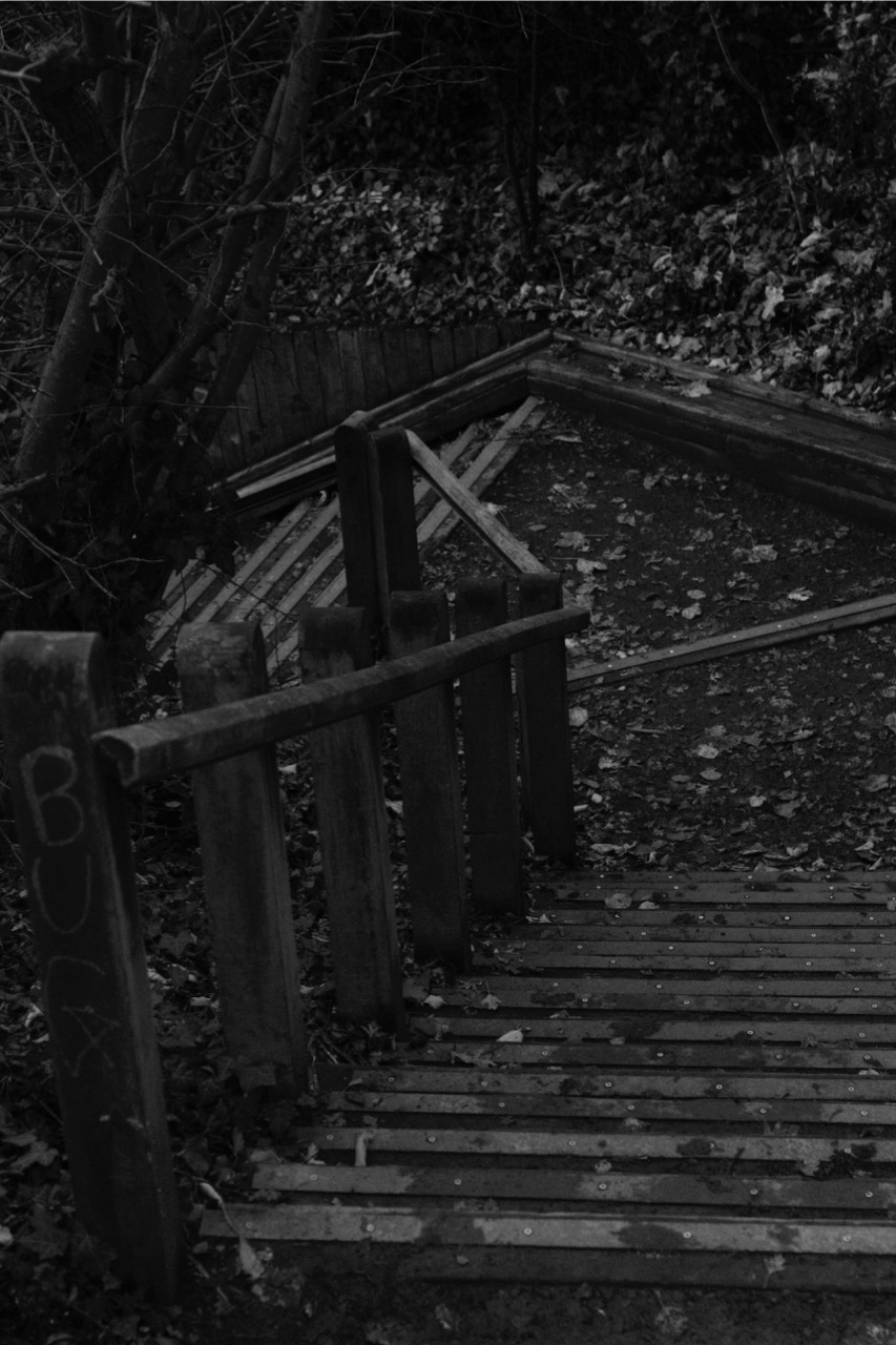 The stairs to the Water of Leith