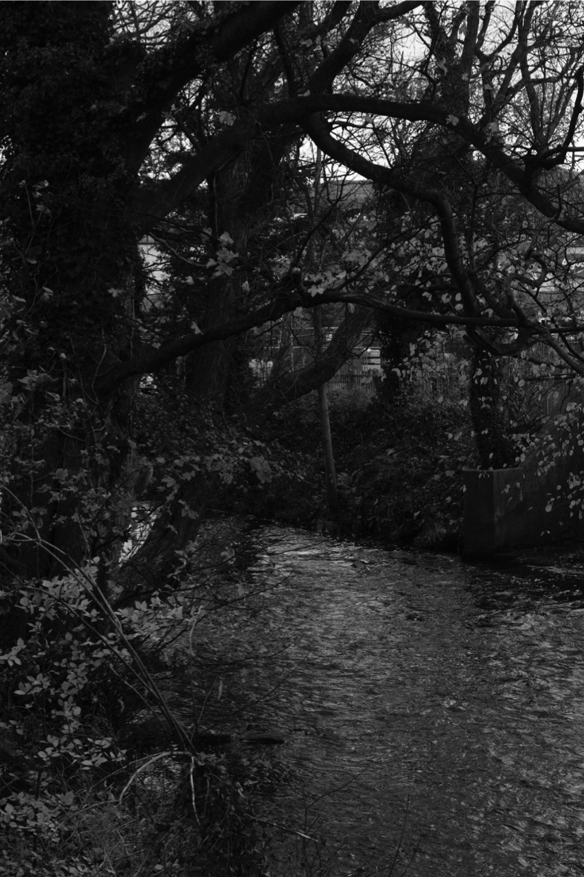 Water of Leith in Autumn